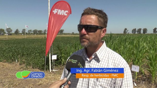 Campo Directo | Club de Expertos FMC en Córdoba