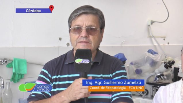 Campo Directo | Conocemos los hongos silvestres venenosos 2da parte