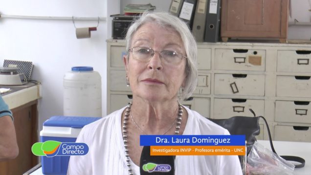 Campo Directo | Hongos Comestibles y hongos tóxicos