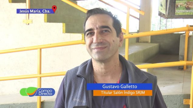 Campo Directo | Salón Índigo