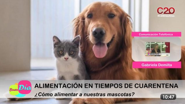 C20 Noticias | Buen Día | Gabriela Demilta