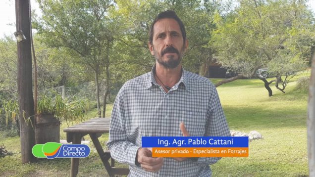 Campo Directo | Alfalfas con menos lignina mejoran digestibilidad