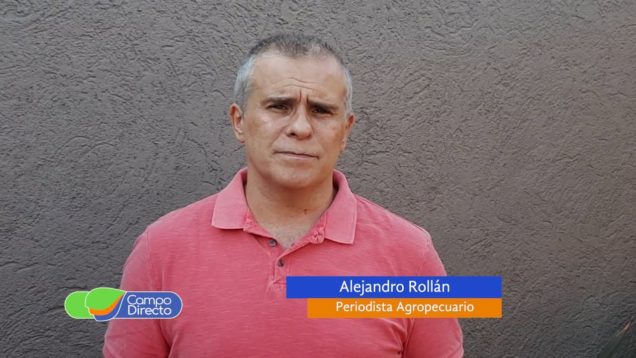 Campo Directo | Avance de la cosecha gruesa en Córdoba