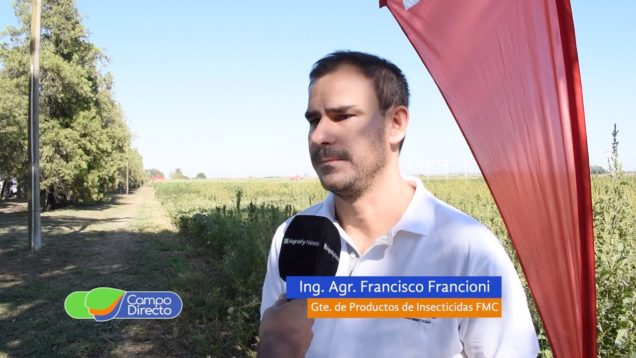 Campo Directo | Club de Expertos FMC en Va Amelia, Rosario