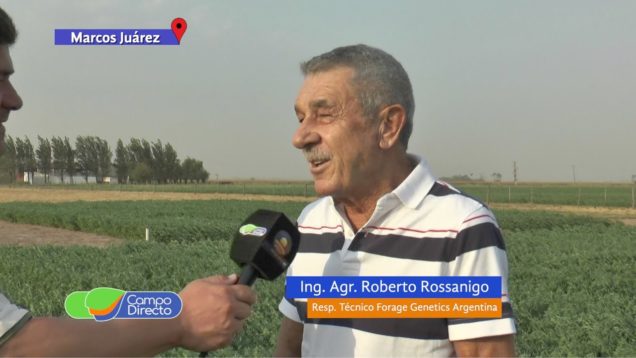 Campo Directo | Conocemos el programa de Mejoramiento de Alfalfas