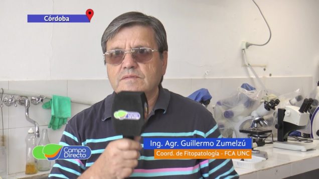 Campo Directo | Conocemos los Hongos Comestibles Silvestres y de Producción