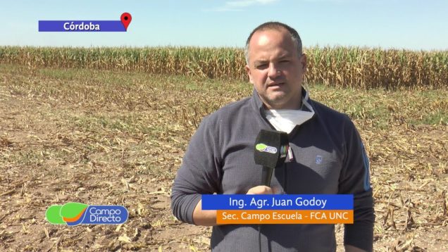 Campo Directo | Estrategia y Calidad de Picado FCA UNC