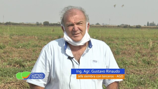 Campo Directo | Actualidad del Maní