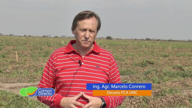 Campo Directo | Arrancado de maní en el Campo Escuela 1era Parte