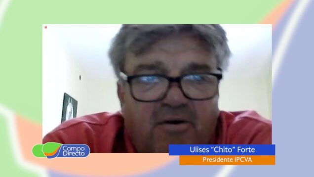 Campo Directo | Carne Vacuna: La verdad sobre exportación y consumo