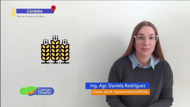 Campo Directo | Intención de Trigo en Córdoba ¿Se viene el Récord?