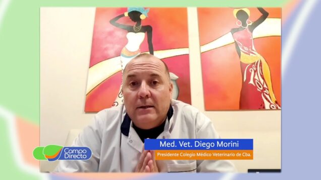 Campo Directo | Los veterinarios en tiempos de pandemia