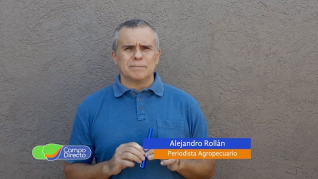 Campo Directo | Pandemia, el negocio de la carne y el día después