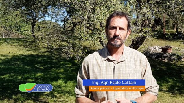 Campo Directo | ¿Porqué un grano con alta humedad en esta época?