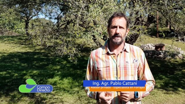 Campo Directo | Silaje de maíz de 2da Todavía estamos a tiempo