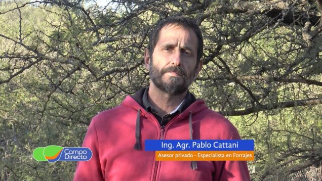 Campo Directo | Optimización de los verdeos de invierno