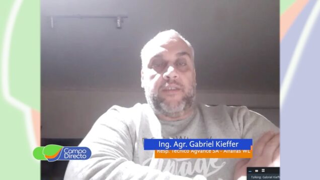 Campo Directo | Siembras tardías de alfalfa