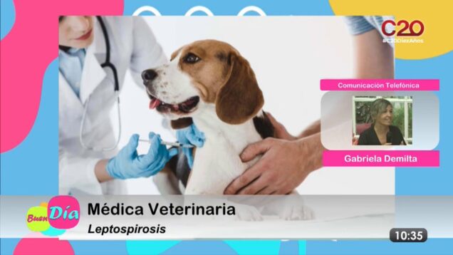 Buen Día | Gabriela Demilta | Médica Vetrinaria