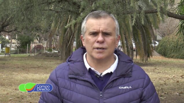 Campo Directo | Balance de resultados de la cosecha en Córdoba