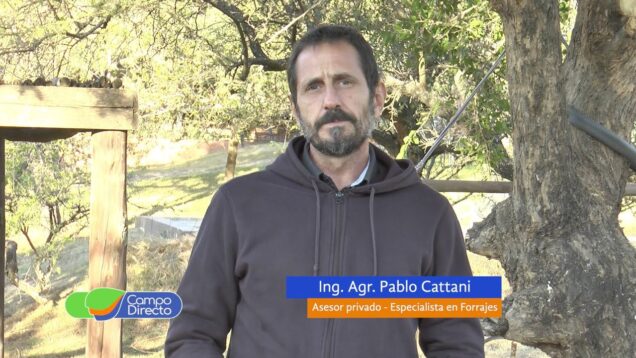 Campo Directo | Correcta elección de un acoplado mixer 2da Parte