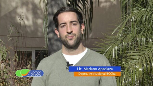 Campo Directo | Cursos de agosto de la Bolsa de Cereales