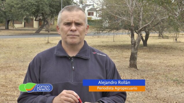 Campo Directo | Frigoríficos, preocupa la cadena de pagos