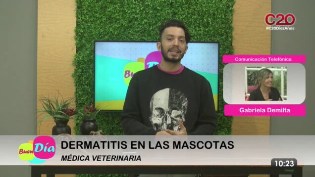 Buen Día | Gabriela Demilta