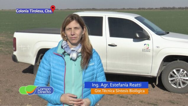 Campo Directo | Bioinsumos Aplicación de zinc en trigo