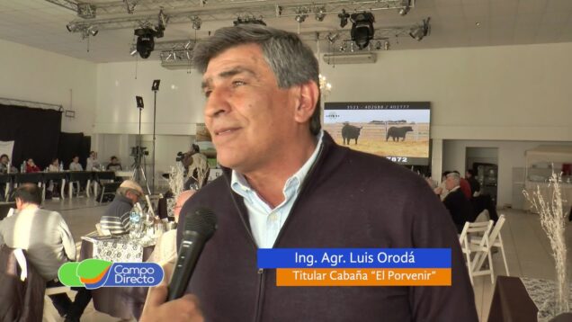 Campo Directo | Calidad y precios récord en el Remate Anual “El Porvenir”