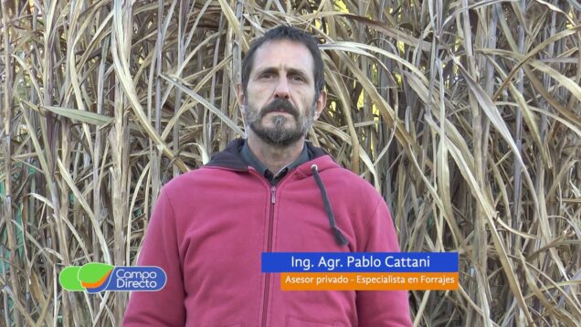 Campo Directo | Correcto manejo de comederos