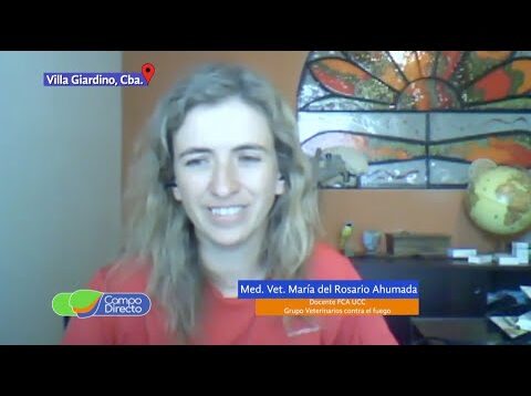Campo Directo | Incendios en Córdoba, cómo ayudar a los animales