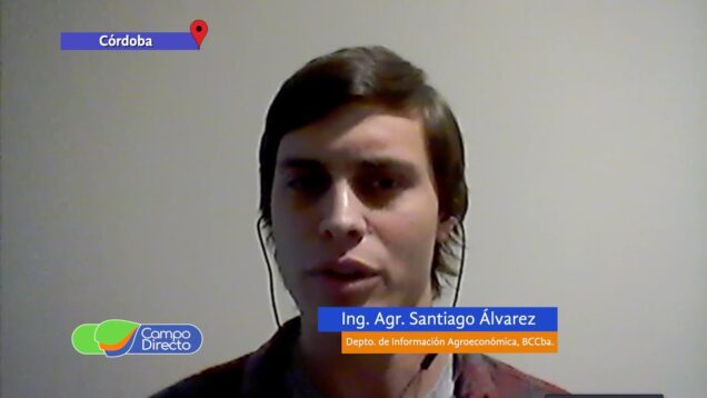 Campo Directo | Preocupa el estado de los verdeos de invierno