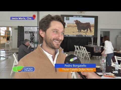 Campo Directo | Quilpo Norte registró excelentes precios en Jesús María