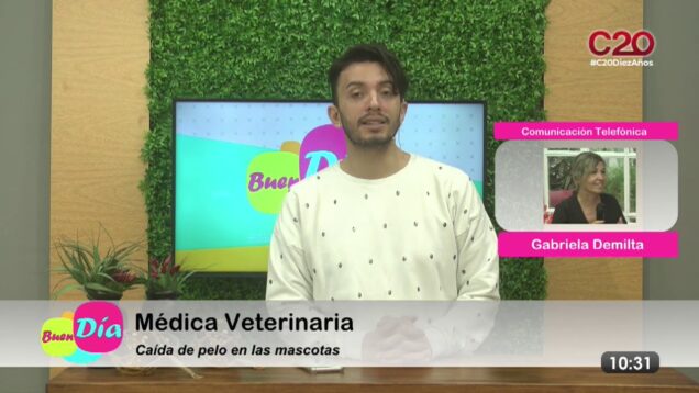 Buen Día | Gabriela Demilta