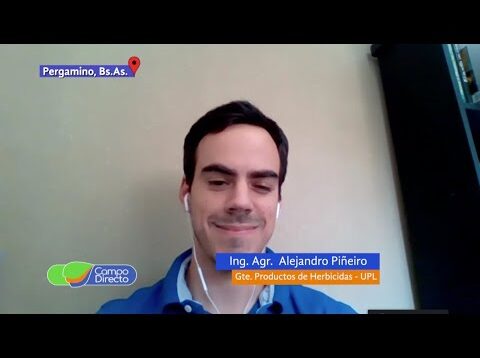 Campo Directo | Carryover Residualidad persistente de herbicidas