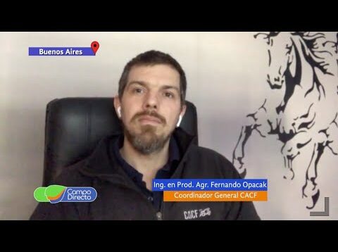 Campo Directo | Complican la circulación de contratistas forrajeros