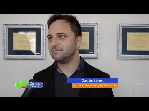 Campo Directo | Importante convenio para mejoramiento genético del garbanzo