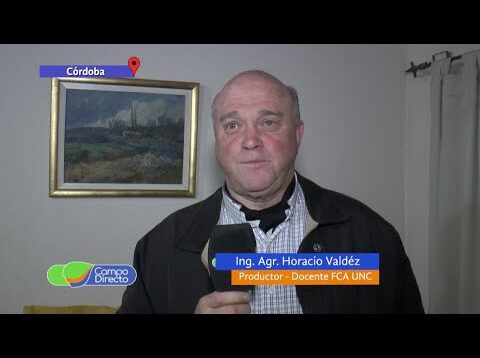 Campo Directo | Ley de Bosques en Agroglobal