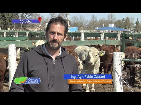 Campo Directo | Tomar decisiones preparando instalaciones