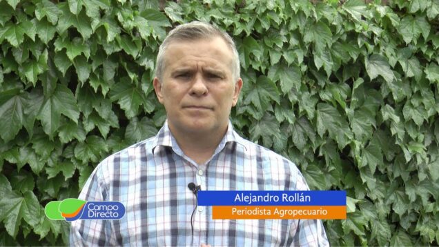 Campo Directo | Estrategia de siembra ante una posible “Niña”