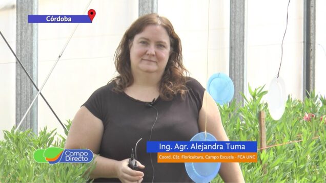 Campo Directo | La FCA UNC en acción solidaria Córdoba Florece