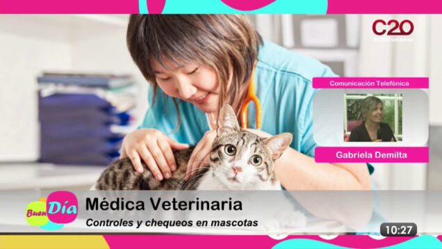 Buen Día | Gabriela Demilta