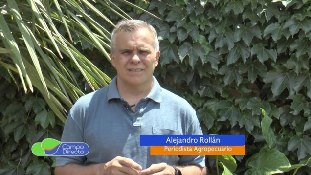 Campo Directo | Aumenta la soja ¿Cómo se proyecta en la nueva campaña?