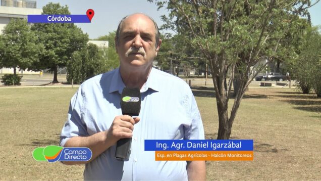 Campo Directo | Conocer las plagas y productos en una probable campaña seca