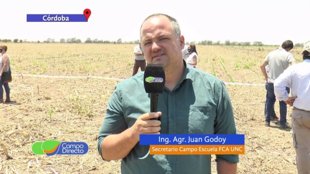 Campo Directo | Estrategias de siembra con falta de lluvias