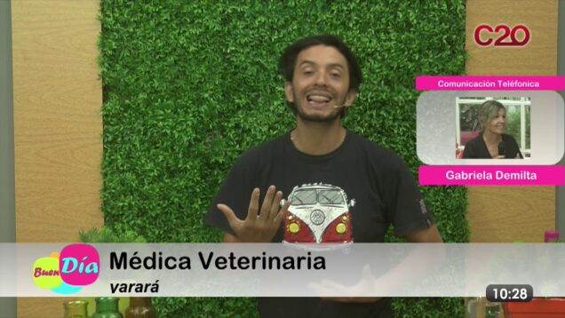 Buen Día | Gabriela Demilta