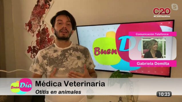 Buen Día | Gabriela Demilta