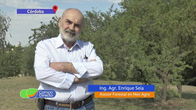 Campo Directo | Cómo adherirse al Plan Forestal Asesoramiento