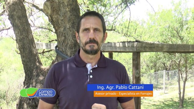 Campo Directo | Estructuras de almacenaje: Silos aéreos o silos bolsa