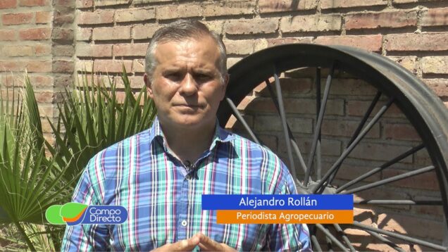 Campo Directo | La carne con aumento y lanzan precios populares